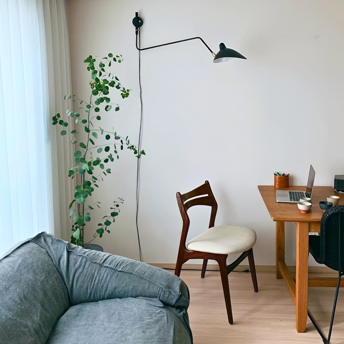 ACME Plug - in Wall Light - Zeenova