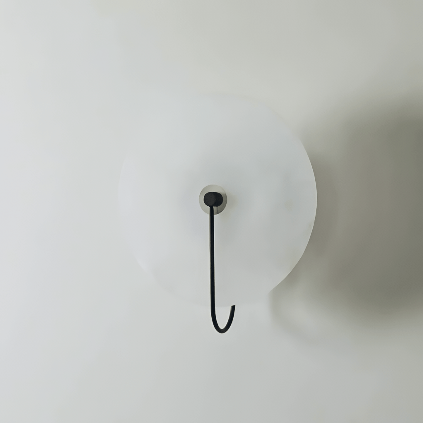 NOVO Wall Sconce - Zeenova