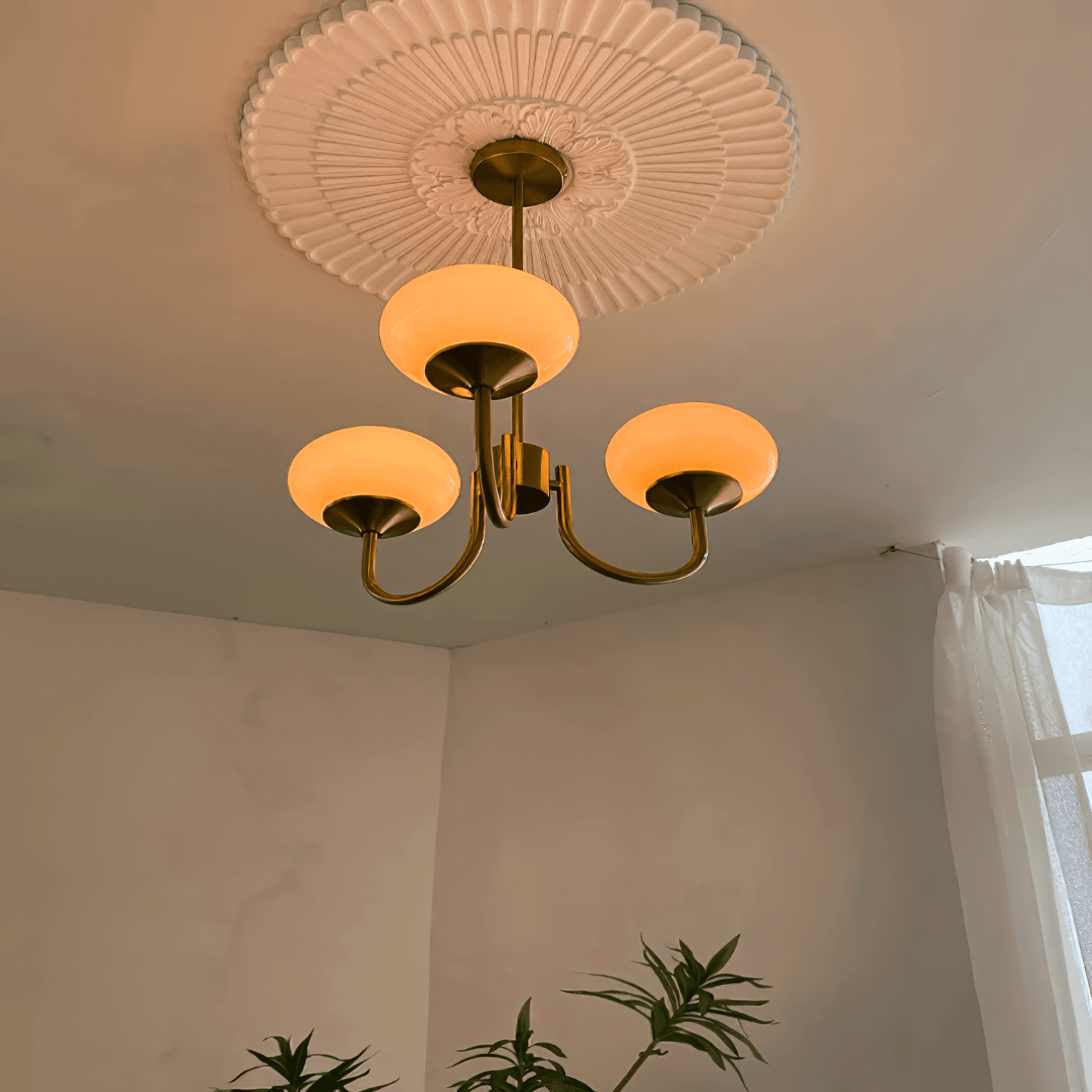 ORBELLE Chandelier - Zeenova