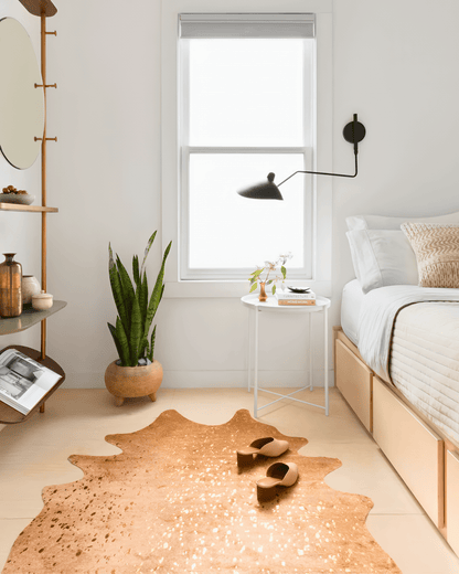 ACME Plug - in Wall Light - Zeenova