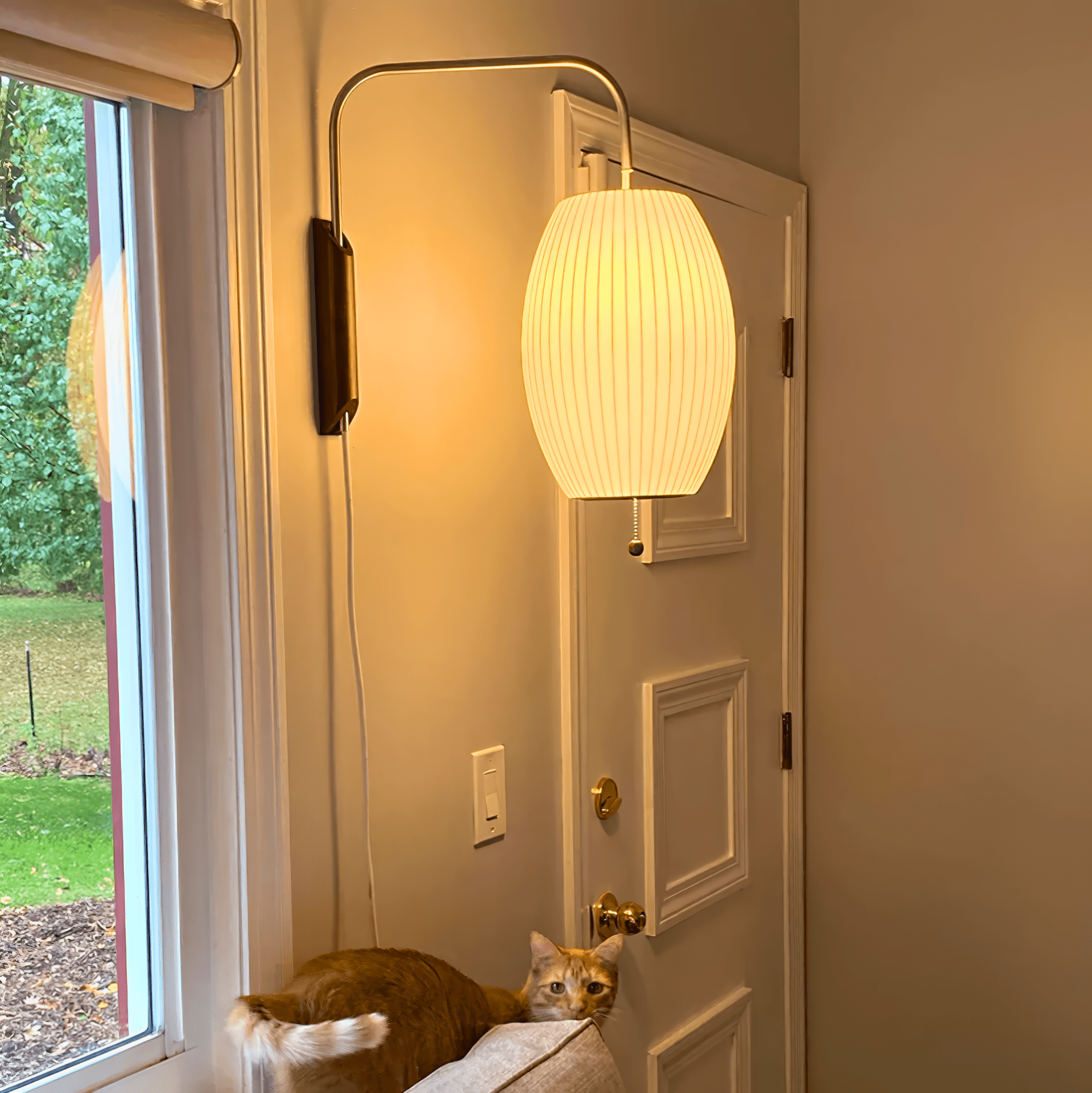 NIMBUS Wall Light - Zeenova