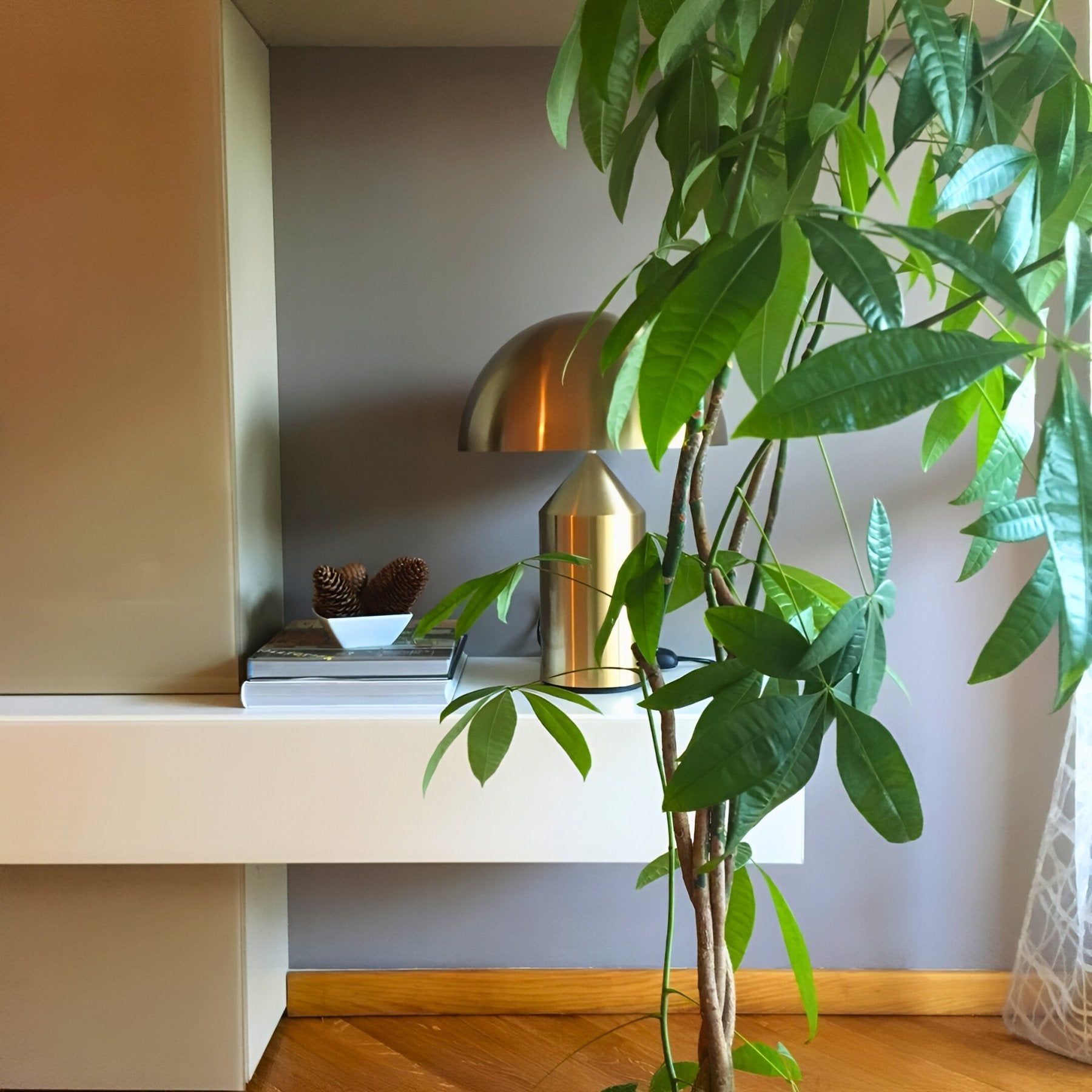 ORA Table Lamp - Zeenova