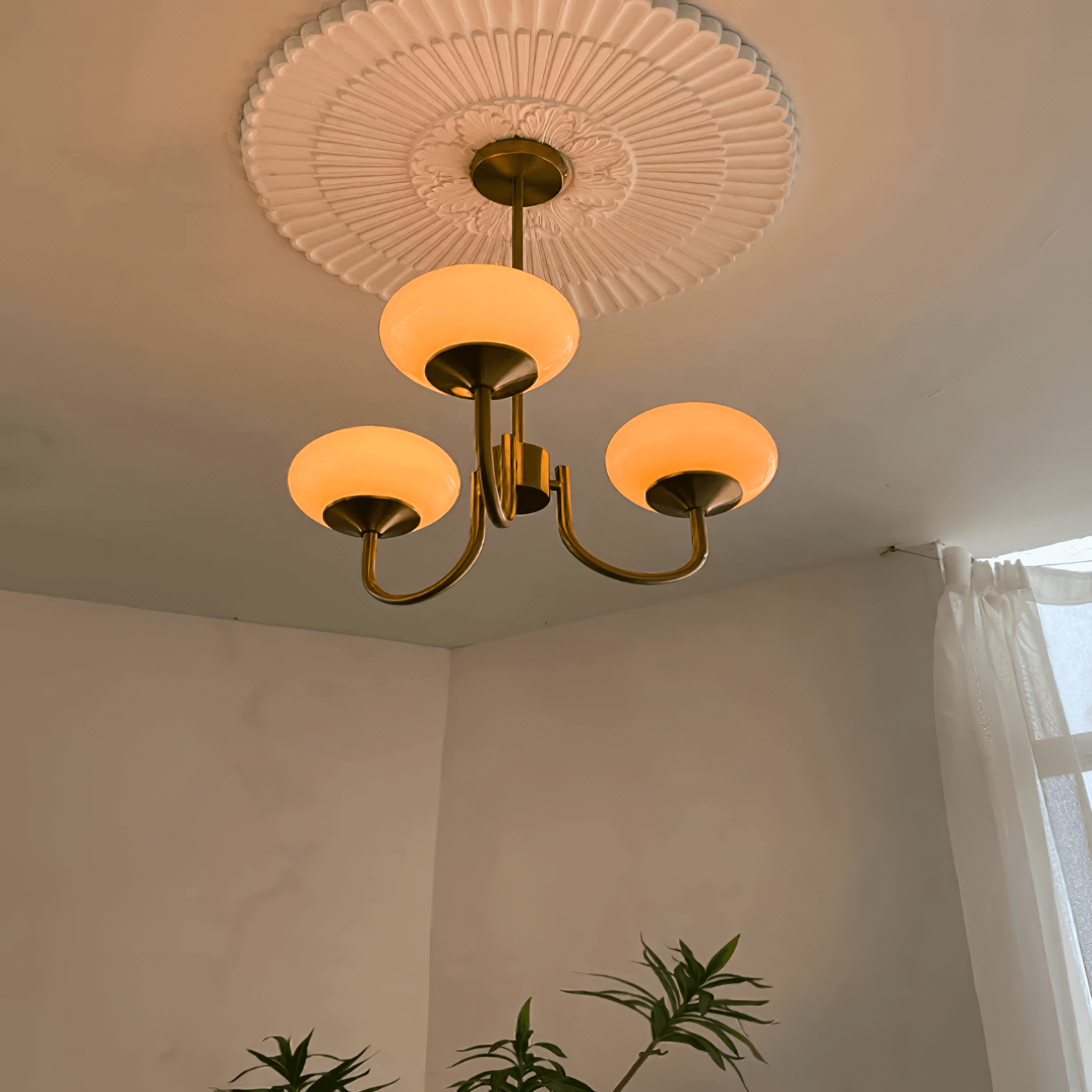 ORBELLE Chandelier - Zeenova